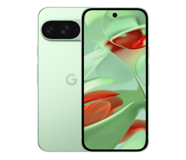 Google Pixel 9 5G 12/256GB Seledynowy - 1273801 - zdjęcie